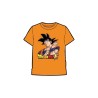CAMISETA DRAGON BALL GOKU NARANJA