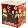 MYSTERY MINI WWE