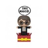 POPSIES! HARRY POTTER (HARRY POTTER)