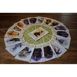 EL ZORRO Y EL BOSQUE