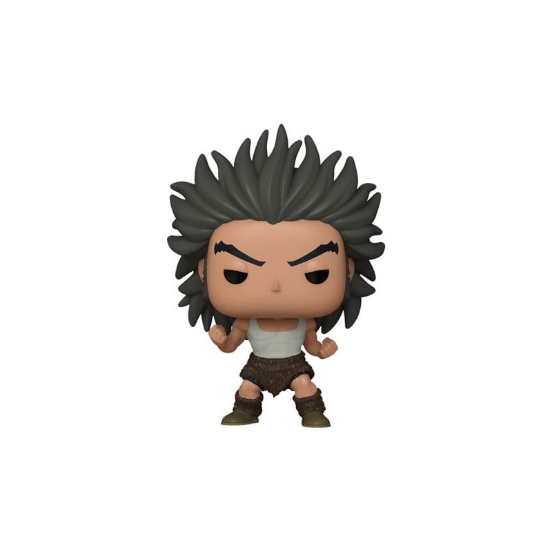 FUNKO POP! HUNTER X HUNTER (UVOGING) 1724