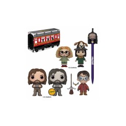 HARRY POTTER KIT BOX FUNKO (POP + 5 STAR + MYSTERY + PEN)