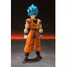 S.H. FIGUARTS DRAGON BALL (SUPER SAIYAN GOD SUPER SAIYAN SON GOKU) GOKU BLUE