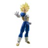 S.H. FIGUARTS DRAGON BALL (SUPER SAIYAN VEGETAAWAKENED SUPERSAIYAN BLOOD)