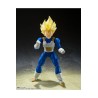S.H. FIGUARTS DRAGON BALL (SUPER SAIYAN VEGETAAWAKENED SUPERSAIYAN BLOOD)