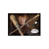 Harry Potter Varita Mágica Ron Weasley (edición carácter)