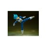 S.H. FIGUARTS DRAGON BALL (SUPER SAIYAN GOD SUPER VEGETA UNWAVERING SAIYAN PRIDE)