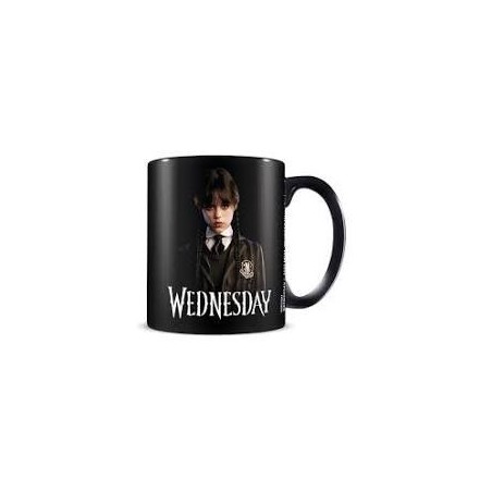 TAZA WEDNESDAY (MIÉRCOLES) FRIENDSHIP