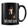 TAZA WEDNESDAY (MIÉRCOLES) FRIENDSHIP