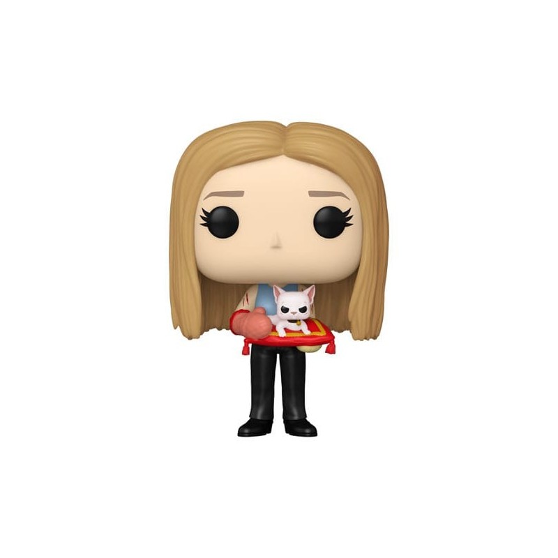 FUNKO POP! FRIENDS (RACHEL GREEN) 1650