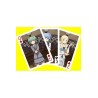 ASSADDINATION CLASSROOM PLAYING CARDS (BARAJA DE NAIPES)