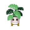 FUNKO POP! PLANTS FLORA (MONSTERA) 02