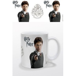 TAZA HARRY POTTER (HARRY POTTER )