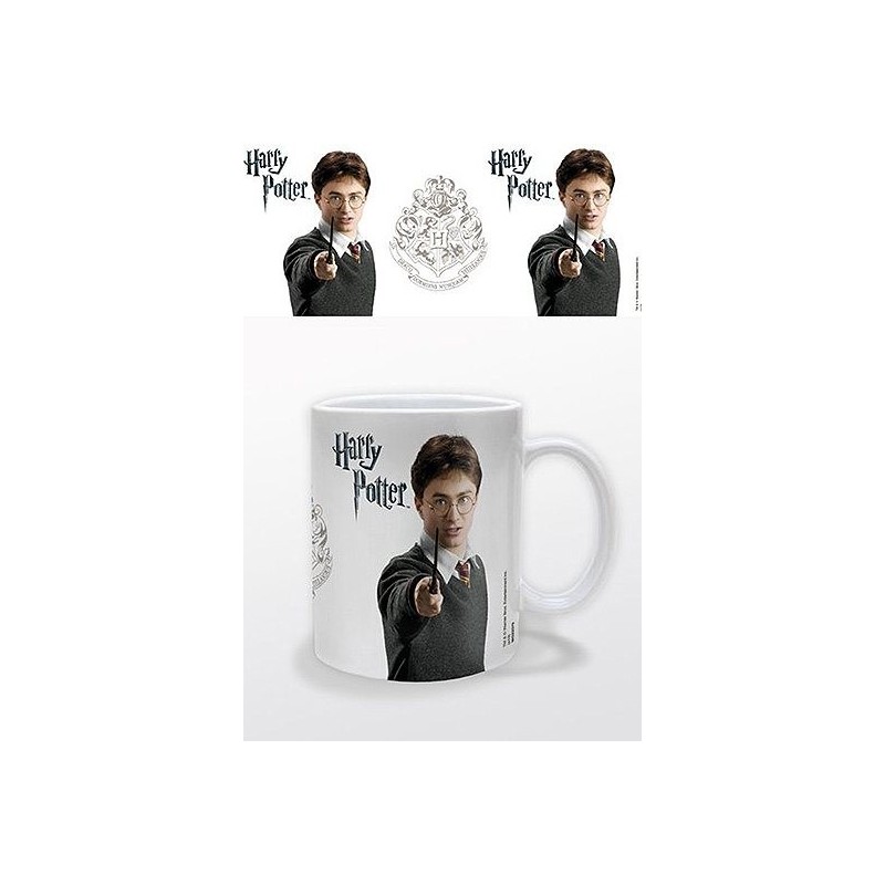 TAZA HARRY POTTER (HARRY POTTER )