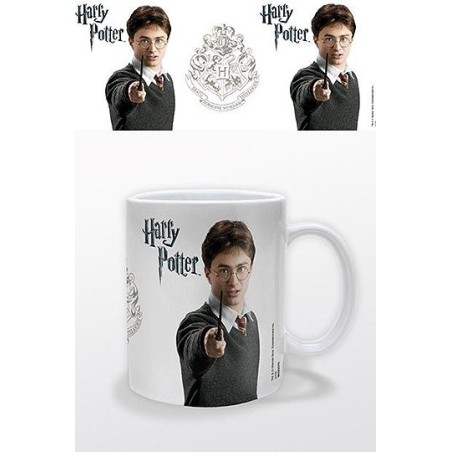 TAZA HARRY POTTER (HARRY POTTER )