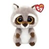 PELUCHE TY MAPACHE (OAKIE)