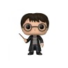 CAMISETA + FUNKO HARRY POTTER TALLA L