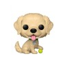 FUNKO POP! PETS (GOLDEN RETRIEVER) 15