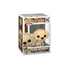 FUNKO POP! PETS (GOLDEN RETRIEVER) 15