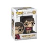 FUNKO POP! HARRY POTTER (HARRY POTTER) 132