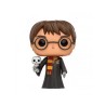 FUNKO POP! HARRY POTTER (HARRY POTTER W/HERDWIG) 31