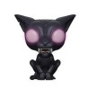 FUNKO POP! ANIMALES FANTASTICOS (MATAGOT GITD) 20