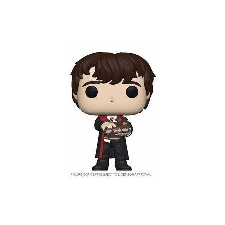 FUNKO POP! HARRY POTTER (NEVILLE LONGBOTTOM) 116