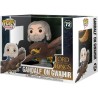 FUNKO POP! EL SEÑOR DE LOS ANILLOS (GANDALF ON GWAIHIR) 72