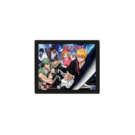 CUADRO 3D BLEACH GROUP
