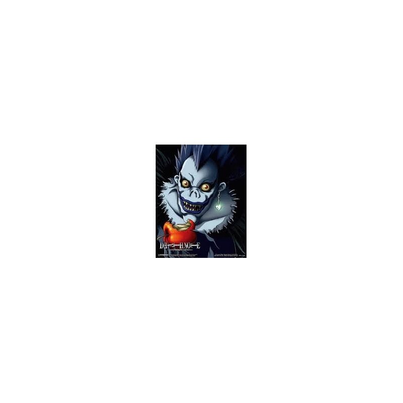 CUADRO 3D DEATH NOTE (LIGHT / RYUK)