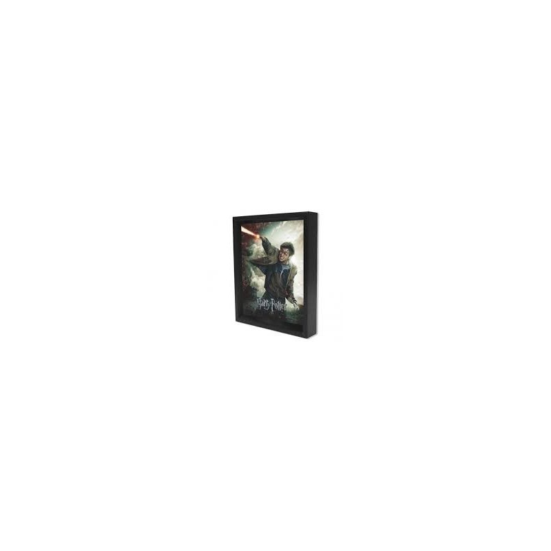 CUADRO 3D HARRY POTTER (EXPELLIARMUS)