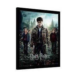 CUADRO 3D HARRY POTTER (EXPELLIARMUS II)