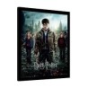 CUADRO 3D HARRY POTTER (EXPELLIARMUS II)