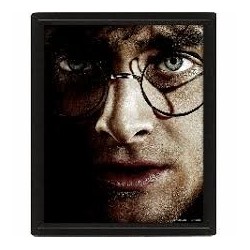 CUADRO 3D HARRY POTTER (HARRY / VOLDEMORT)