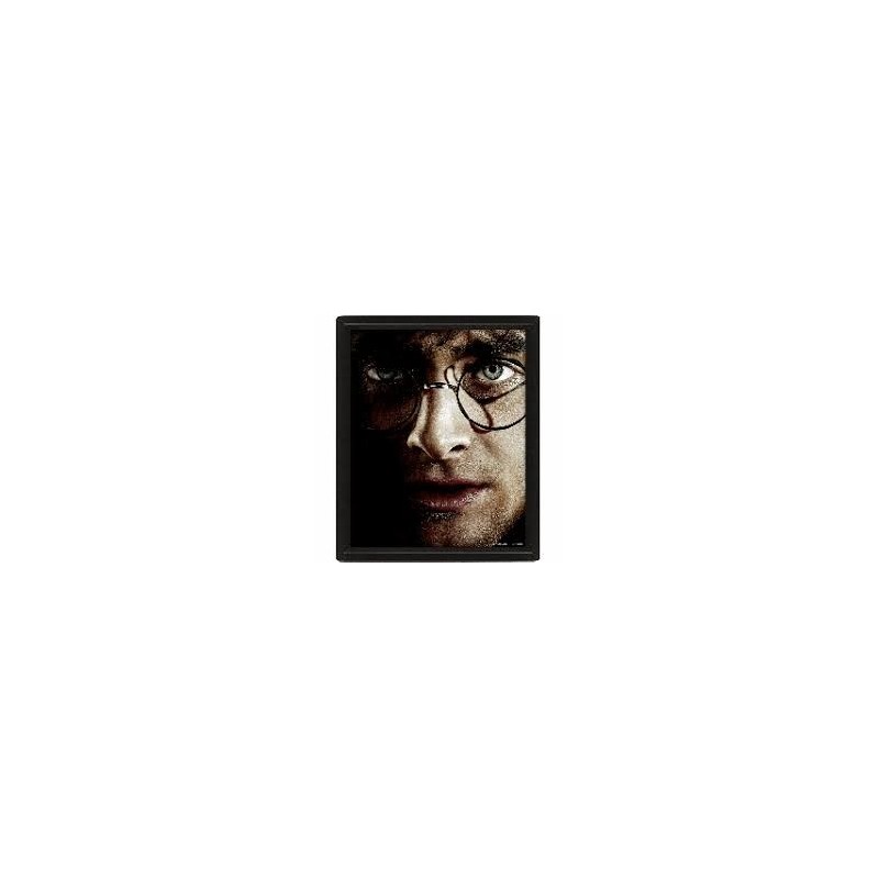 CUADRO 3D HARRY POTTER (HARRY / VOLDEMORT)
