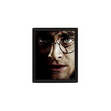 CUADRO 3D HARRY POTTER (HARRY / VOLDEMORT)