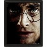 CUADRO 3D HARRY POTTER (HARRY / VOLDEMORT)