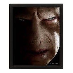 CUADRO 3D HARRY POTTER (HARRY / VOLDEMORT)
