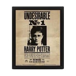 CUADRO 3D HARRY POTTER (POTTER / SIRIUS)