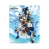 CUADRO 3D KINGDOM HEARTS