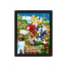 CUADRO 3D SONIC (ANILLOS DE ENGANCHE)