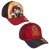 GORRA HARRY POTTER CUADROS