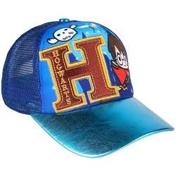 GORRA HARRY POTTER HOGWARTS PREMIUM CERDA