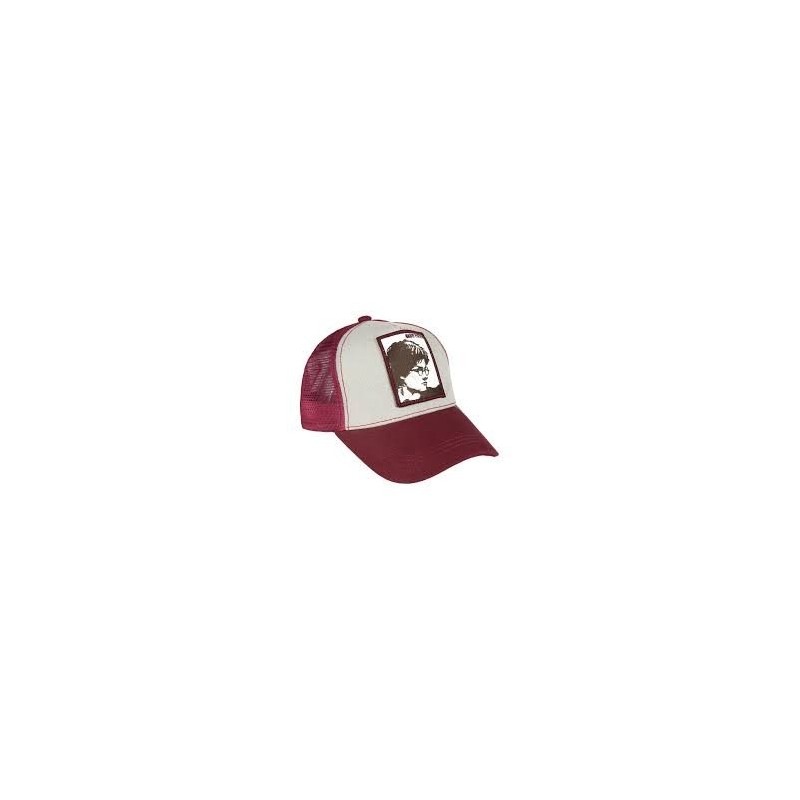 GORRA HARRY POTTER IMAGEN CERDA