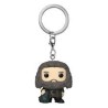 POCKET POP! HARRY POTTER (RUBEUS HAGRID)
