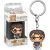 POCKET POP! HARRY POTTER (HARRY POTTER)